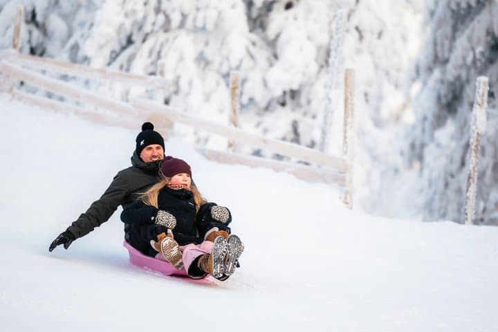 1 Day Pass Lapland Winter Park in Rovaniemi