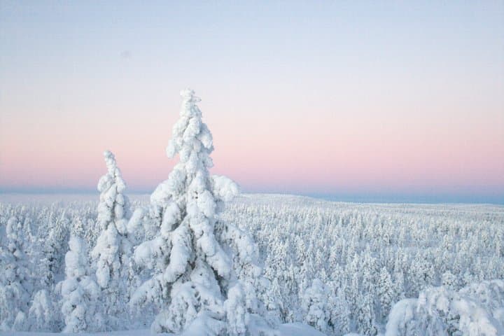 Ylläs: Backcountry Skiing in Pallas-Yllästunturi National Park